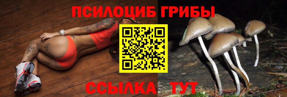 Галлюциногенные грибы GOLDEN TEACHER  Вход с VPN  Сергиев Посад 